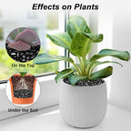 Garden Landscaping Stones,Landscaping Pebbles,River Rocks,Decorative Ornamental Pebbles,Gravel Filler for Home Decoration Flower Bed Fish Tank Plants Vases Succulents (1, Black, 1 Pound)