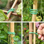 PGarden-EZ Green Soft Twist Tie Tomato Plant Tie TPR Garden Supply, for Supporting Plants and Home Organizing (65.6 feet/20 Meters)