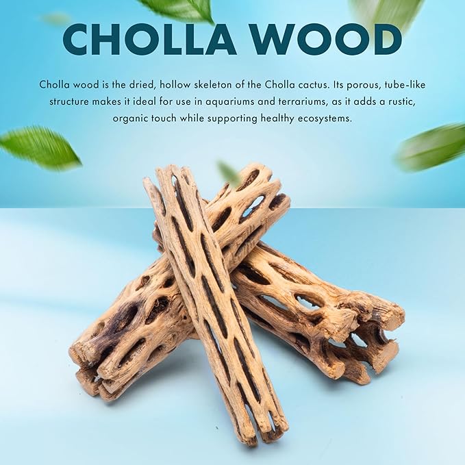SubstrateSource Natural Cholla Wood - Driftwood for Aquariums, Air Plant Base, Hermit Crab and Freshwater Shrimp Hideout, Fish Tank Decoration, Chinchilla Chews, Reptile Habitat Wood - 4 Inch, 3pc