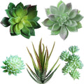 Supla 5 Pcs Assorted Artificial Succulents Plants Unpotted Small Green Cactus Echeveria Picks Fake Succulents Bulk for Succulent Garden Centerpiece Wreath Floral Arrangement Indoor Outdoor Home Décor