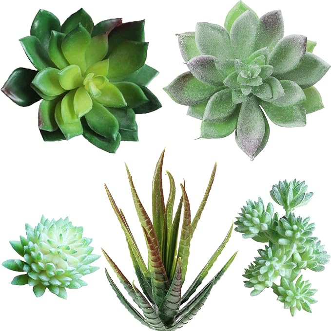 Supla 5 Pcs Assorted Artificial Succulents Plants Unpotted Small Green Cactus Echeveria Picks Fake Succulents Bulk for Succulent Garden Centerpiece Wreath Floral Arrangement Indoor Outdoor Home Décor