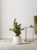LE TAUCI Fluted Ceramic Planters, 8.3/7/6 Inch Indoor Pots for Plants with Drainage Holes & Mesh, Modern Matte Glaze Cylinder Plant Pot for Snake Plant, Set of 3, White