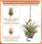 6Pcs Hanging Air Plant Holder, Air Plant Hanger with Jute Ropes, Soilless Tillandsia Display Stand for Home & Office Decor, Succulent Container
