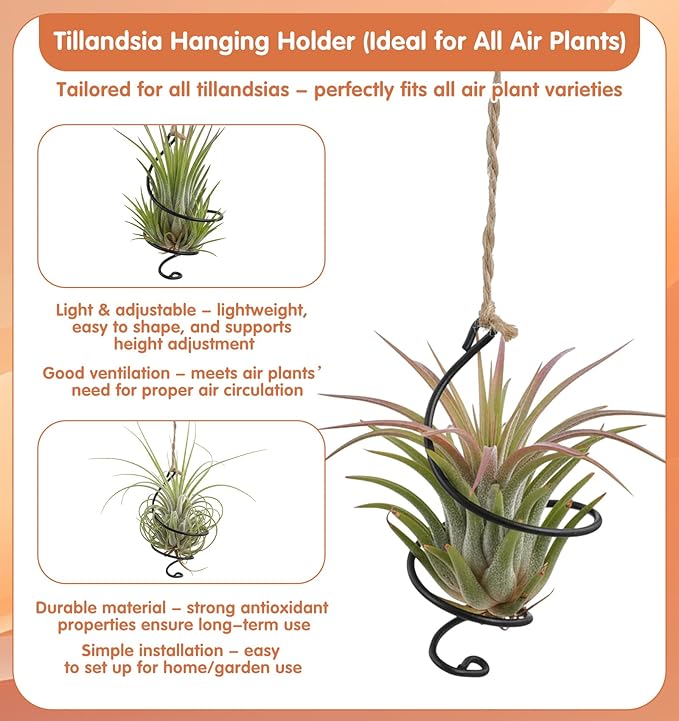 6Pcs Hanging Air Plant Holder, Air Plant Hanger with Jute Ropes, Soilless Tillandsia Display Stand for Home & Office Decor, Succulent Container