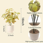 18" Fall Artificial Eucalyptus Plant,Indoor Fake Potted Plants with Ceramic Pots,Faux Plant Desk Plants for Living Room Kitchen Bathroom Office centerpieces Decor
