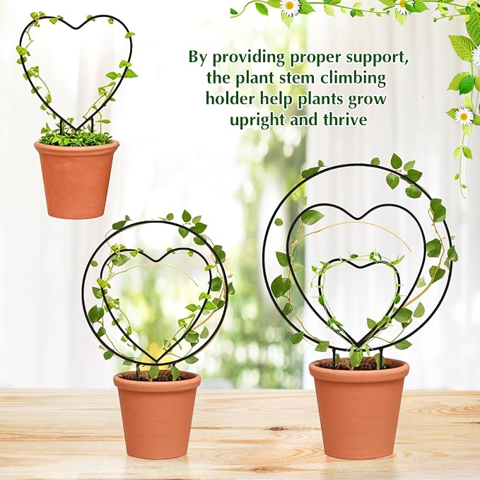 Hoya Trellis 3 Size Indoor Plants Flower Support Stakes Round or Heart Metal Trellis Set Garden Tool Accessories for Small Potted Vine Climbing Houseplants (BlackCH)