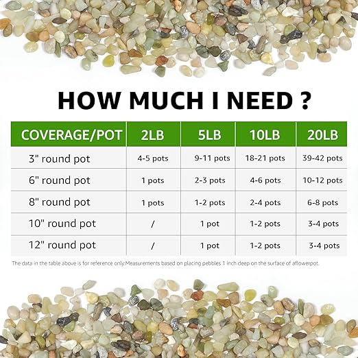 2lbs Natural Gravel Pebbles for Succulents and Cacti, 1/5 Inch Decorative River Stones – Perfect for Vases, Aquariums, Terrariums, and Outdoor Gardening, Mixed Colors (Jade, 2 Pounds)