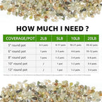 5lbs Natural Gravel Pebbles for Succulents and Cacti, 1/5 Inch Decorative River Stones – Perfect for Vases, Aquariums, Terrariums, and Outdoor Gardening, Mixed Colors (Jade, 5 Pounds)