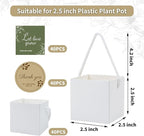 Temlum 2.5 Inch Succulent Wrap Bags (Fits 2.5″ Pots) with Thank You & Let Love Grow Stickers, Small Gift Box for Wedding, Baby Shower, Succulent Party Favors for Guests (White 40pcs)