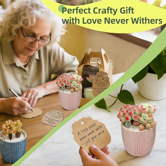 Microland Air Dry Clay Art Set Fake Succulents Flower Making Kit Adult Arts and Crafts for Women Creative Craft Kits for Teens DIY Mini Plant Crafting Set Crafty Flower Gift Artist Gift for Mother Fun