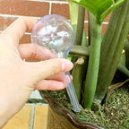 Pynqdfu 8 Pcs Clear Plant Watering Globes,Plastic Self Watering Bulbs Ball,Garden Water Device for Plant Indoor Outdoor(Small)
