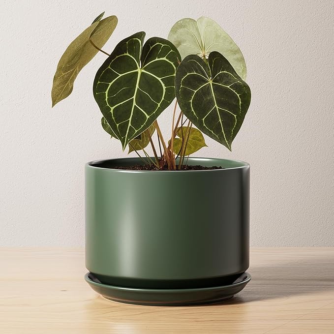 LE TAUCI Ceramic Pots for Plants, 6.8 Inch Plant Pots with Drainage Hole & Saucer, Modern Planter for Indoor Plants, Stable & Durable, Perfect for Living Room or Office Decor, Forest Green