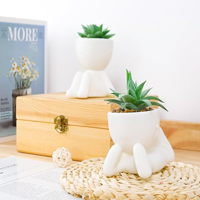 Der Rose 2 Pack Fake Plants Succulents Plants Artificial for Living Room Home Bathroom Office Decor