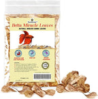 SunGrow 100 pcs Catappa Indian Almond Leaves for Betta Fish Tank Aquarium, 2” Water Conditioner Leaves, Leaf Also Suitable for Shrimp, Goldfish, Guppy and Frogs