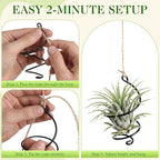 Hicarer 6 Pack Hanging Air Plant Holders with Jute Rope, Black Spiral Soilless Air Plant Hanger Set with Adjustable Rust-Resistant Iron Rings for Tillandsia, Succulent Home Office Decor