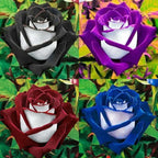 300+ Perennial Mixed Rose Flower Seeds for Planting Outdoor-Fragrant Non GMO Heirloom Garden Home Great Gardening Gifts
