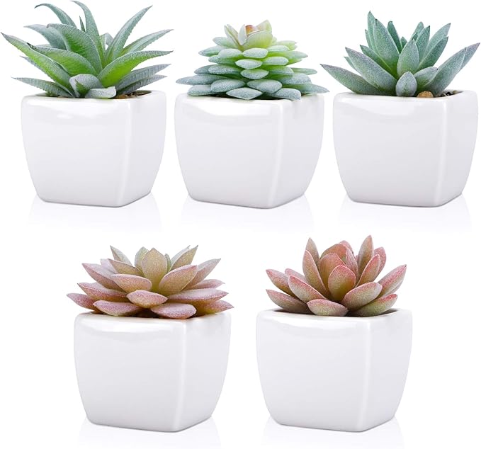 FUNARTY 5pcs Artificial Succulent Plants, Small Fake Desk Plants Mini Succulents Indoor for Shelf Living Room Bedroom Windowsills Office Home Decoration (Include White Ceramic Pots)