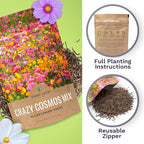 Cosmos Seeds Wildflower Mixture - Bulk Quarter Pound Bag - Over 20,000 Seeds - Pink, Yellow, Orange, Red, Purple and White Mixed Species!