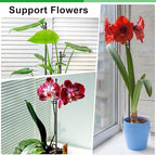 30Pcs Plant Support Stakes 17 inch SupKing Garden Orchid Sticks Extended to 3ft 4ft 5ft Plant Poles with Clips for Indoor Outdoor Potted Tomato Rose Amaryllis Vegetables Comes with 20 Ties(Black)