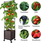 Raised Garden Bed with Tomato Cage & Trellis, 56" Self-Watering Tomato Planter Box for Vegetables Flowers | Lockable Wheels, Vertical Gardening | Indoor Outdoor Patio Use, Easy Assembly