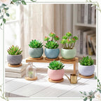 Thenshop 12 Pcs Small Succulent Pots Set with Drainage 3 Inch Plant Pots Ceramic Succulent Planters with Bamboo Saucers 6 Colors Small Planters for Cactus, Herbs, Mini Plants