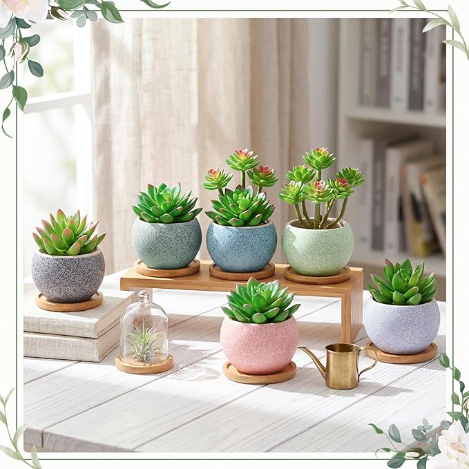 Thenshop 12 Pcs Small Succulent Pots Set with Drainage 3 Inch Plant Pots Ceramic Succulent Planters with Bamboo Saucers 6 Colors Small Planters for Cactus, Herbs, Mini Plants