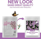 Groundio 20000+ Creeping Thyme Seeds Ground Cover Plant, Perennial Thyme Flower Seeds for Planting Outdoor, Low Maintenance, Grown in The USA