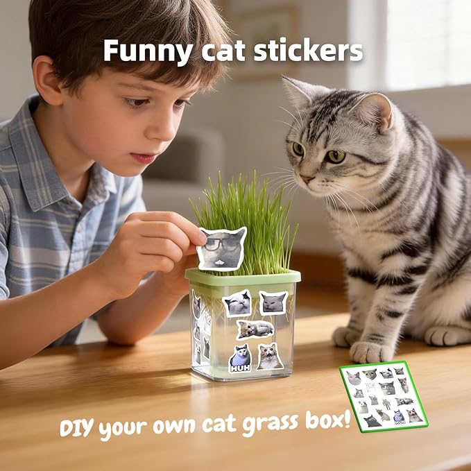 Hydroponic Cat Grass Kit with 5 Pack Non GMO Seeds & Scissors - Cat Grass for Indoor Cats, Helps Cat with Hairballs & Digestion, Easy 3-Step Setup,Gifts for Cat Lovers (Food-Safe PP&AS, 7-Day Growth)