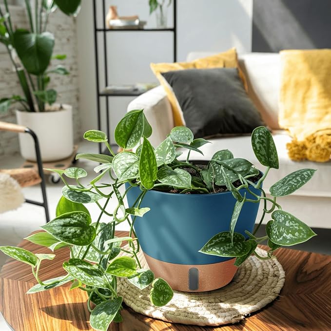 montresor 12/10/8 Inch Self Watering Pots for Indoor Plants Plastic Large Plant Pots for Outdoor Plants, Water Level Window & Spacious Reservoir Flower Pots Decorative Planter with Drainage and Tray