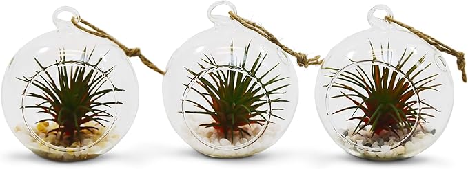 WGV Hanging Terrarium Globe, Width 2.5", Height 3", DIY Air Succulent Planter, Clear Glass Vase Orb with Flat Bottom, Candle Holder for Windowsill Outdoor Garden Decor, 6 Pieces Bulk