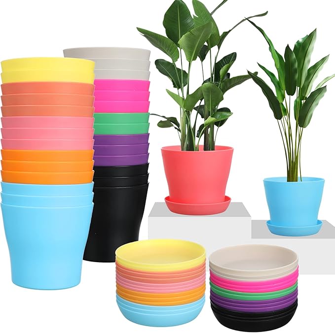 Potchen 33 Pack 4 Inch Plastic Plant Pots Bulk with Saucers Thickened Reusable Nursery Planters with Drainage Holes Colorful Small Flower Pots for Indoor Herbs Seedlings