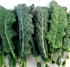 Kale Lacinato (AKA Dinosaur or Tuscan) Great Heirloom Vegetable 1 Lb Seeds