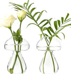 Mushroom Glass Planter, Plant Propagation Station, Cute Mushroom Vase, Clear Glass Terrarium Jar Propagation Vase for Indoor Plants Home Decor, Gifts for Plant Lovers (2)