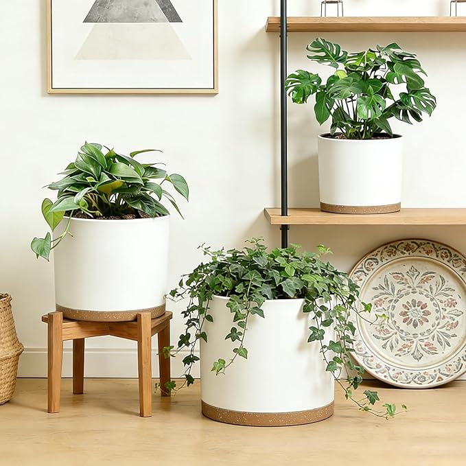 Large Plant Pots Set of 3 – 8", 9", 10" Indoor Flower Pots with Drainage Holes and Saucers, Big Planters for Monstera, Fiddle Leaf Fig, Snake Plant – 5 Colors