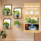 LASZOLA Plant Hangers Holder Wall Mount Indoor Window with 3 Grow Light, 3 Pack Floating Flower Stand Shelf with Hooks, Metal Picture Frame Hanging Planter Display Decor for Kitchen Bathroom, Black