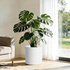 WSMKSZ 14 Inch Heavy-Duty Cylinder Deep Planter for Indoor Outdoor Plants, Tall Large Plastic Plant Pot with Drainage Holes and Saucer, Decorative Flower Pot for Patio Garden, White