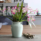 3pcs Artificial Cymbidium Orchid Flowers that Look Real, Faux Pink Orchid Stems with Roots for Vases, Cymbidium Stems for Home Office Farmhouse Indoor Tables Centerpieces Decor (Pink)
