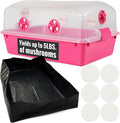 Premium Mushroom Monotub Grow Kit [XLarge, 68Q] Portable and Compact Fruiting Chamber with Plugs, Filters and Adjustable Air Vents, 22.8 x 15.7” x 12”, Pink