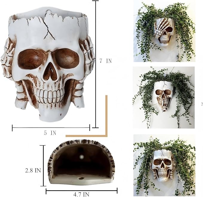 Resin Air Plant Holders,Tilandsia Container,Gothic Skeleton Planter,Halloween Plant Pot,Tillandsia Pot, Skull Table Top Display Planters for Air Plants and Other Mini Plants (White No.2, 7*5*3.2'')