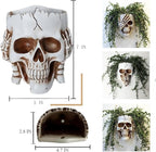 Resin Air Plant Holders,Tilandsia Container,Gothic Skeleton Planter,Halloween Plant Pot,Tillandsia Pot, Skull Table Top Display Planters for Air Plants and Other Mini Plants (White No.1, 7*5*3.2'')