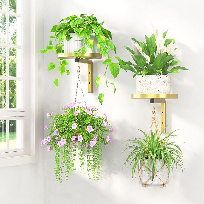 LASZOLA Plant Hangers Shelves Wall Mounted Indoor, Metal Window Plant Holders, 2Pcs Modern Floating Flower Display Stand with 2 Hooks for Outdoor Kitchen Bathroom Decor, Gold