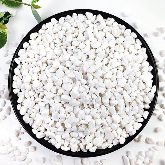 YISZM 5LB Succulent and Cactus Gravel Pebbles, 1/5 Inch White Natural Decorative Polished Stones, River Rocks for Plants, Vases, Aquariums, Terrarium and Outdoor Gardening
