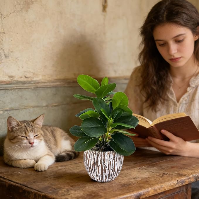 Artificial Potted Plants Life-Like Fake Plant with Farmhouse-Style Cement Planter Feturing Light Wood Tone for Room Bathroom Bedroom Kitchen Office Dese Coffee Table Décor (9inch)