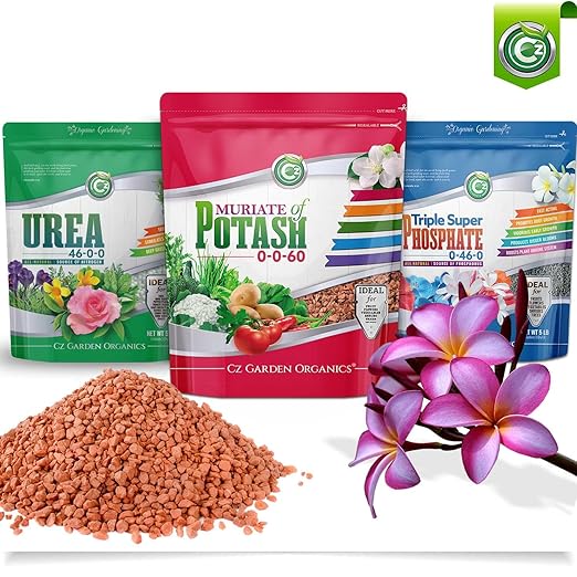 Muriate of Potash 0-0-60 Fertilizer Made in USA - MOP Potassium Plant Food for Indoor/Outdoor Plants, Flower Gardens, Fruit and Vegetable Gardens, Holistic Herbs, Trees and Green Lawns!