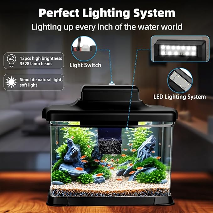 DaToo Small Fish Tank Ultra-Clear 1.6 Gallon Aquarium Starter Kits with LED Lighting and Filter System Beginner-Friendly Mini Betta Aquarium for Small Fish Shrimp Desktop Room Decoration
