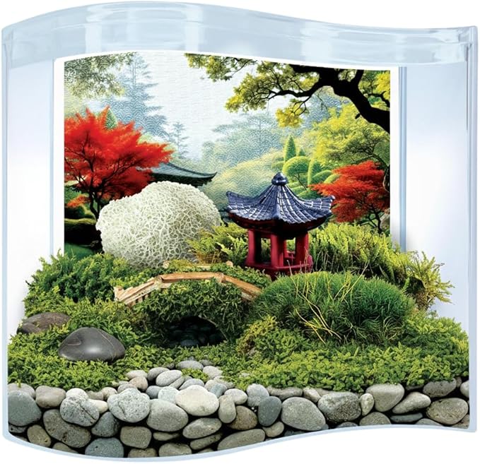 Toys By Nature Bonsai Moss & Rock Garden, Mini Wave Terrarium Kit with Real Plant, Beginner-Friendly Terrariums and Live Indoor Plants Decor