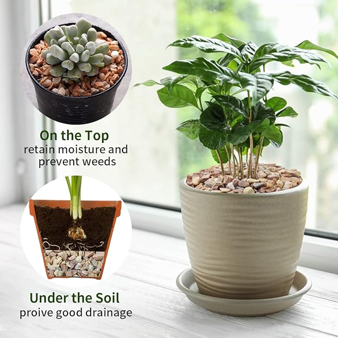 FANTIAN 5lbs Natural Pea Gravel Pebbles, 3/8 Inch Decorative Succulent Rocks Pebbles for Indoor Plants. River Rocks for Vase and Outdoor Garden Landscaping Rocks