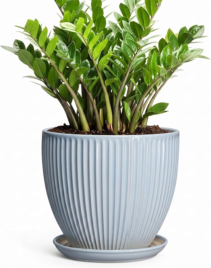 10 Inch Pots for Plants, Ceramic Plant Pots with Drainage Hole and Saucer, Modern Flower Pots for Indoor Plants, Decorative Large Planter, Entryway Decor, Gardening Gifts, Light Blue
