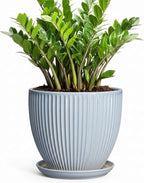 10 Inch Pots for Plants, Ceramic Plant Pots with Drainage Hole and Saucer, Modern Flower Pots for Indoor Plants, Decorative Large Planter, Entryway Decor, Gardening Gifts, Light Blue