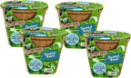 Unique Gardener Plant-It Starters Plant Seeds 4-Pack, DIY Indoor Succulents and Live Plants for Home or Garden Planting, Sweet Basil
